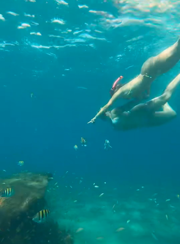 Snorkeler swimming with a school of fish