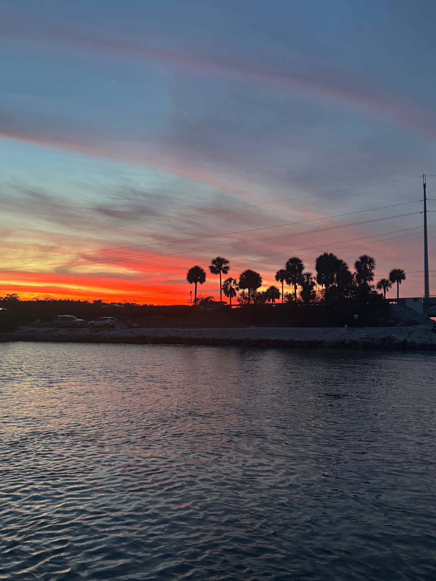 Fiery Key West sunset behind palm trees